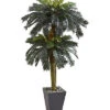 6ft Double Sago Palm Artificial Tree Home