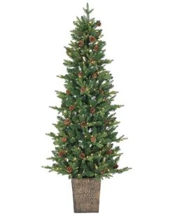 6ft Potted Natural Cut Georgia Pine With 200 Clear Lights Home