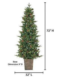6ft Potted Natural Cut Georgia Pine With 200 Clear Lights Home -Rue La La 3050474351 RLLD 3