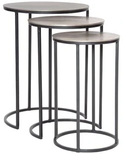 Erik Metal Nesting Tables, S/3 Home