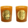 Candles Set Of 2 Amber & Leather Candles Home