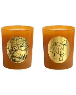 Candles Set Of 2 Amber & Leather Candles Home
